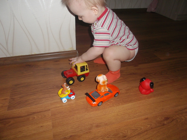 ТН Котенок и щенок. день 2.