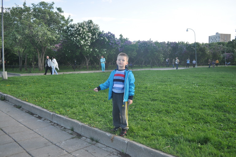 А у нас в Сиреневом саду...