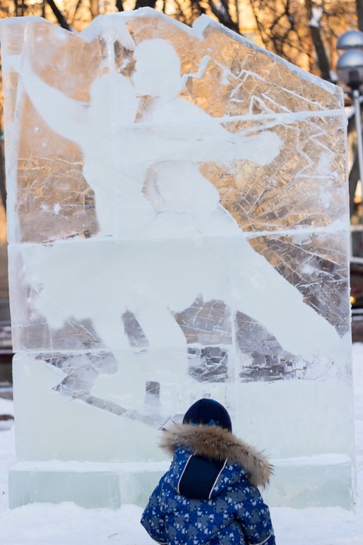 31 января: скульптуры изо льда, выставка бабочек, Балтийский цирк