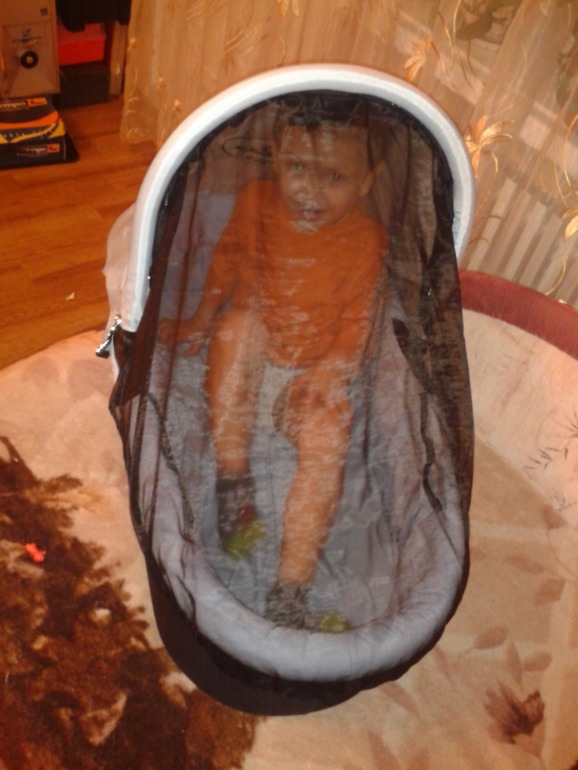 Пришла моя колясочка