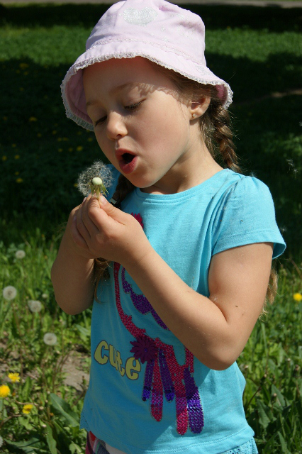 Планы