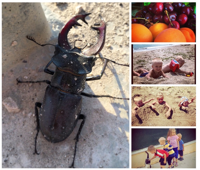 Юные натуралисты