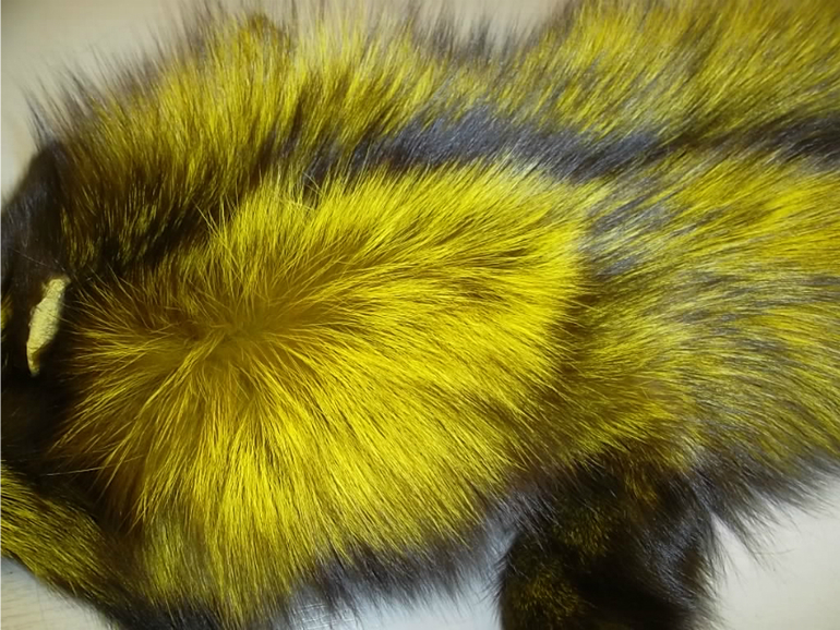 Шикарные цветные шкуры песца..лисы..чернобурки енот и т тд