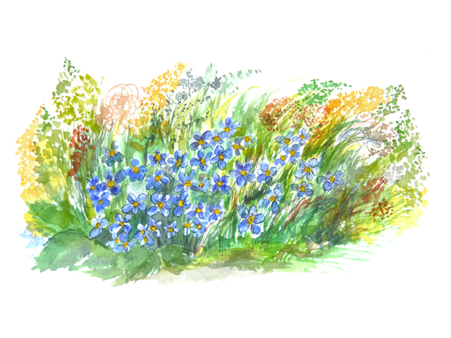 Акварель Это моя жизнь