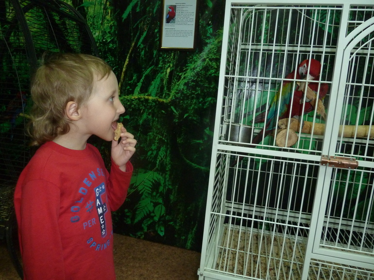 выставка тропических птиц