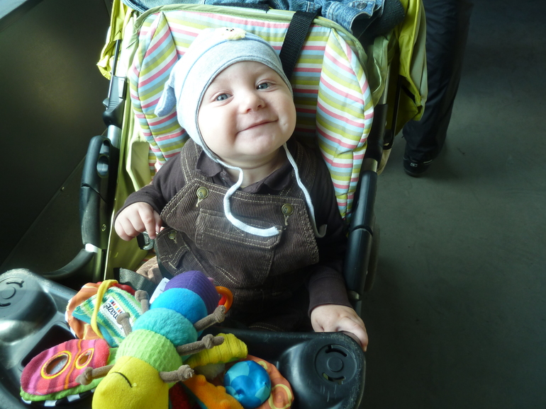 выставка тропических птиц