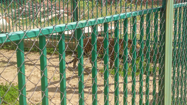 Поездка в Экзотик-парк