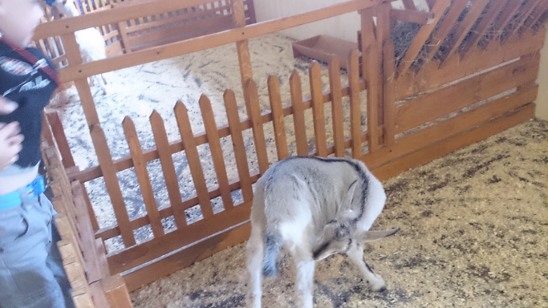 Поездка в Экзотик-парк