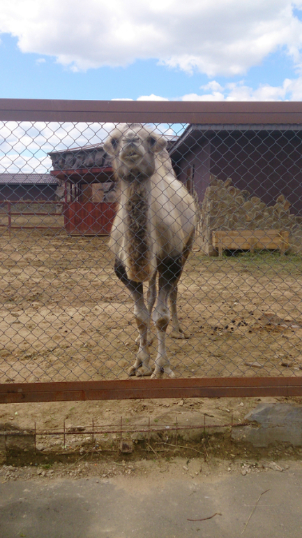 Поездка в Экзотик-парк