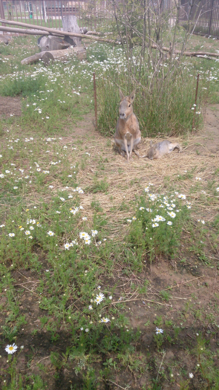 Поездка в Экзотик-парк