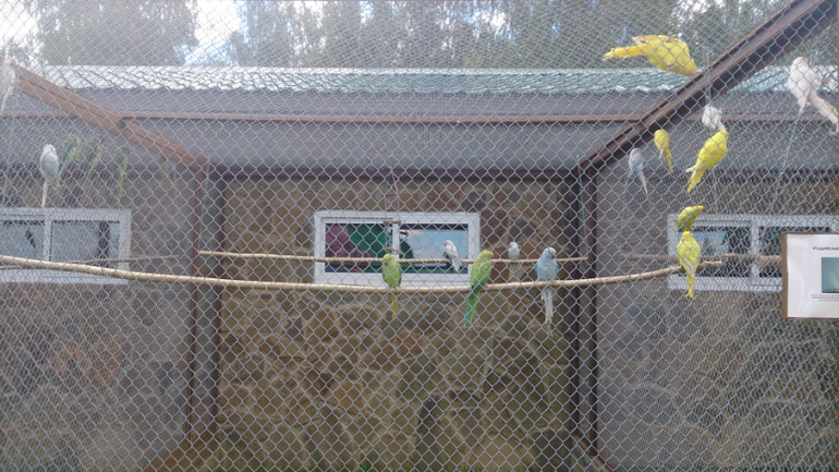 Поездка в Экзотик-парк