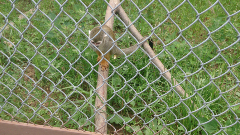 Поездка в Экзотик-парк