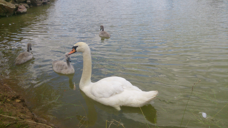 Поездка в Экзотик-парк