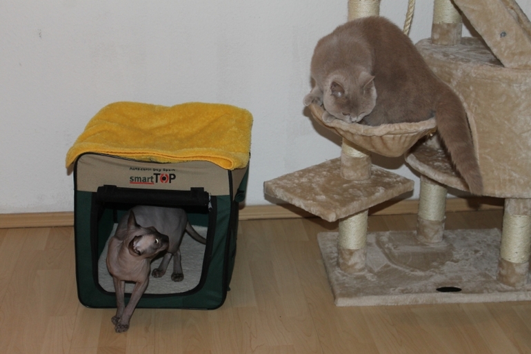 Знакомство.