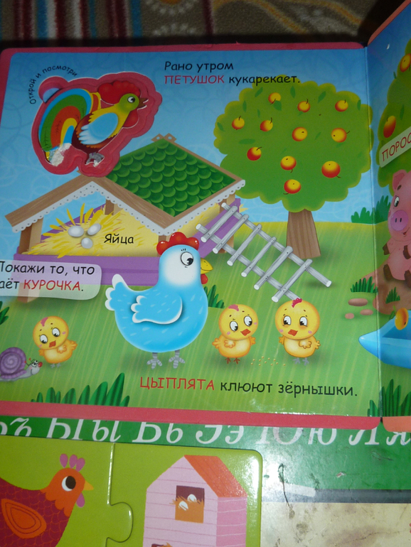 День 4. Яйцо.