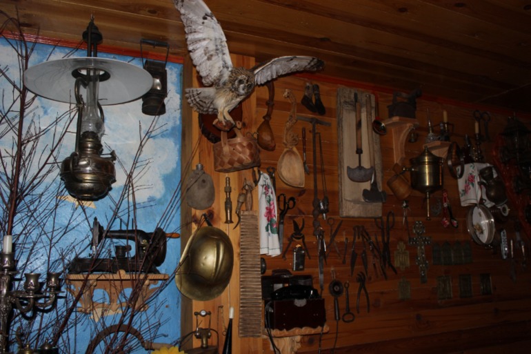 Поездка с классом в Дмитровку )  и школьная