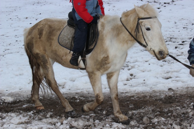 Поездка с классом в Дмитровку )  и школьная