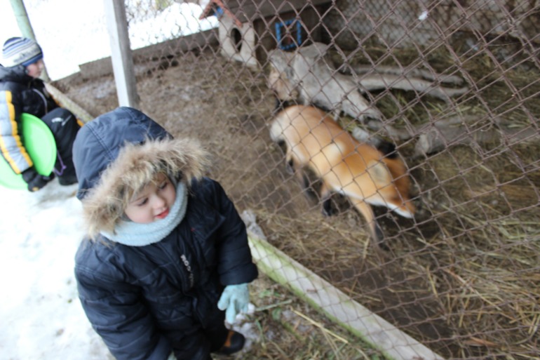 Поездка с классом в Дмитровку )  и школьная