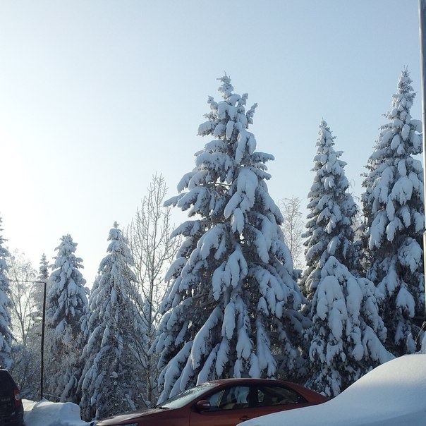 немного зимнего солнечного дня