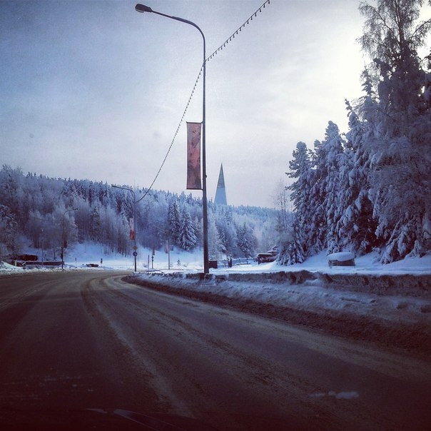 немного зимнего солнечного дня