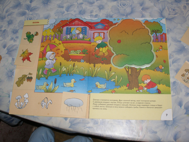 ТН " Деревья". Дни 3,4,5.