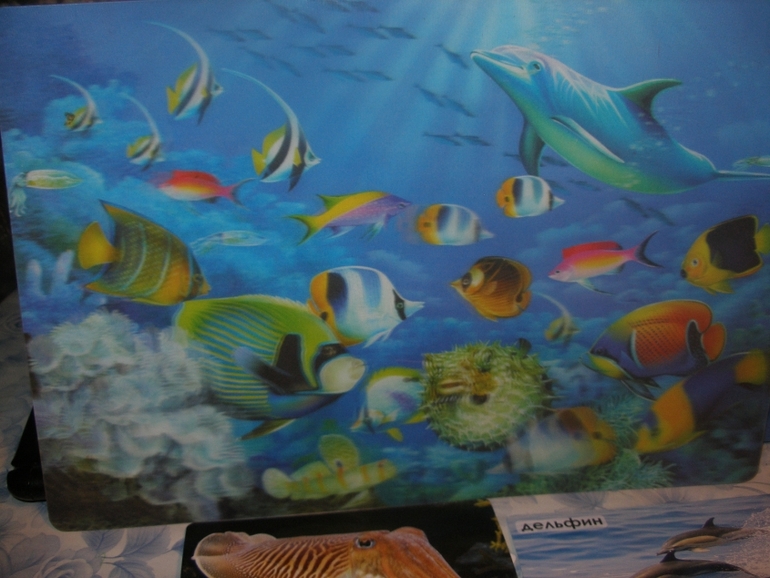 ТН " Море". Рыбы