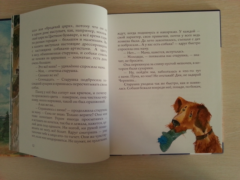 Шуркины рассказы