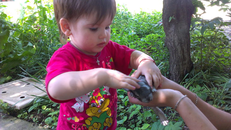 поездка в Моздок