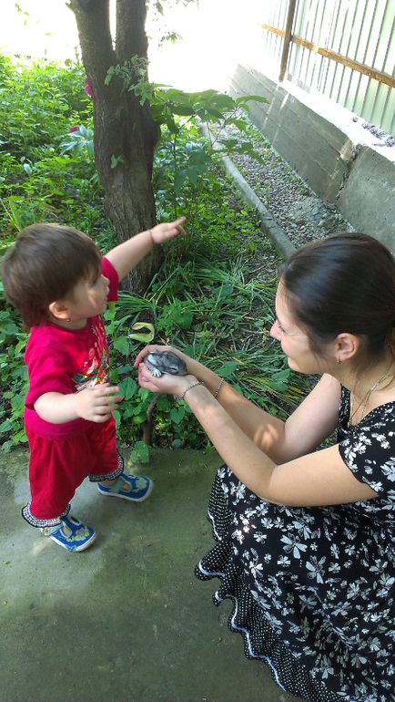 поездка в Моздок