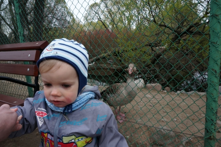 Посетили Зоопарк