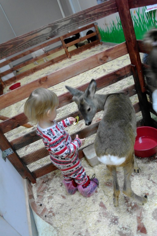 Сегодня Кире год и девять и мы были в ЗООПАРКЕ=))))))