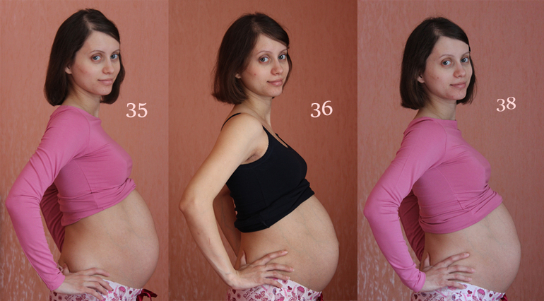 38 недель