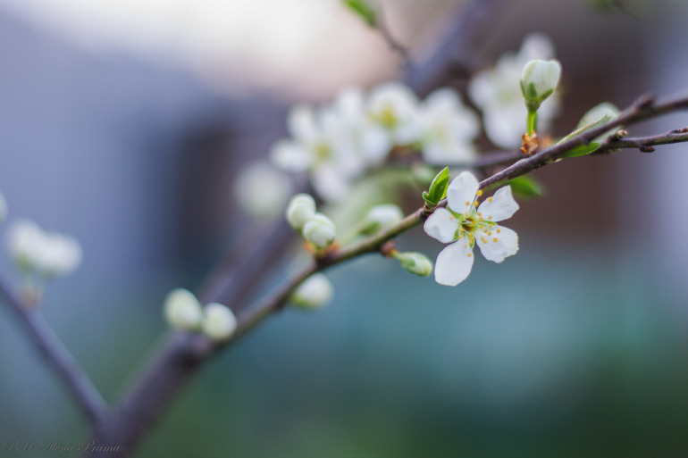 пора и мне принять порцию тапок...