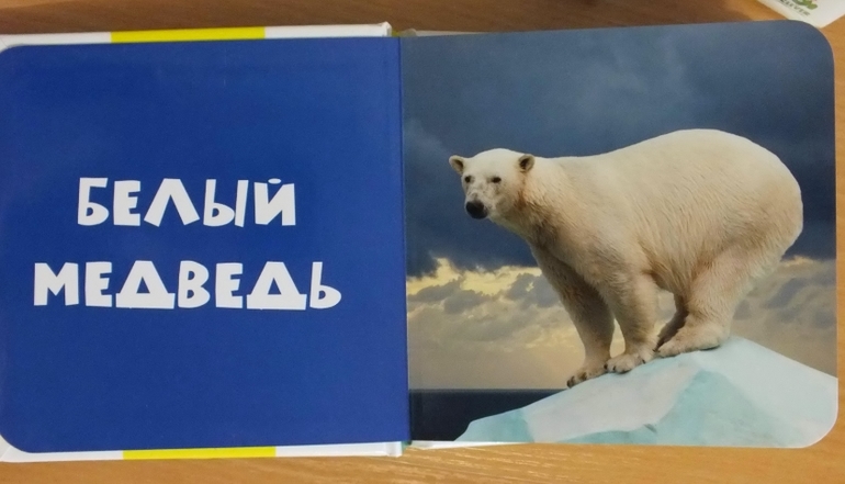 Фото-книги от Клевера