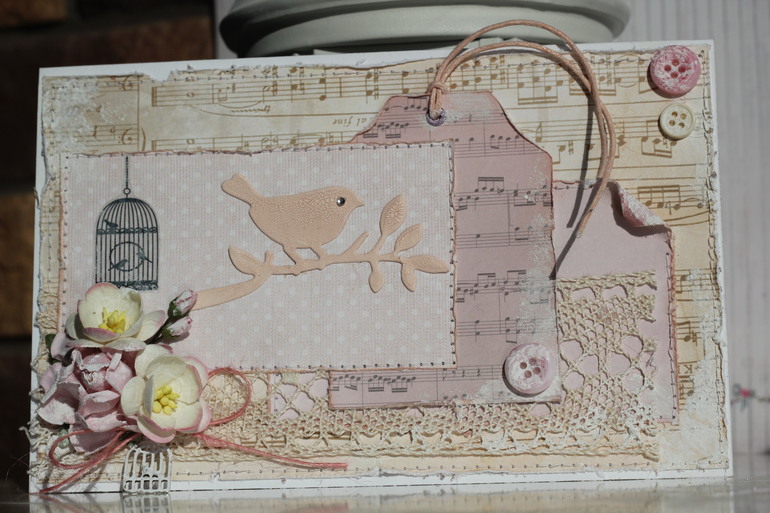 The bird in the cage