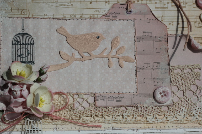 The bird in the cage