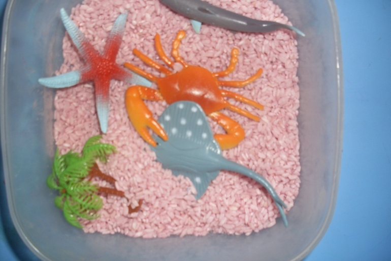 Наш досуг!!!!!! Морские приключения!