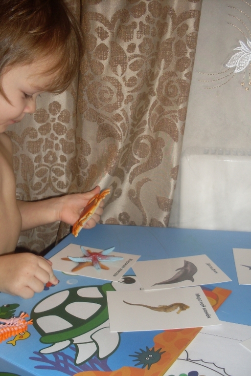 Наш досуг!!!!!! Морские приключения!