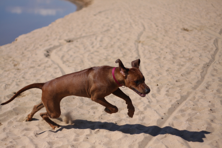 а мы купались