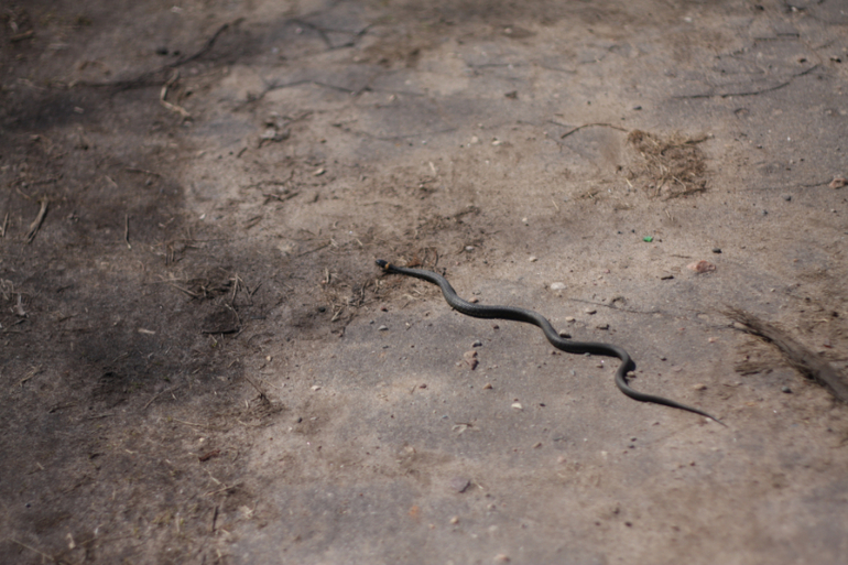 а мы купались