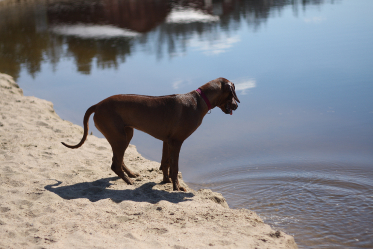 а мы купались