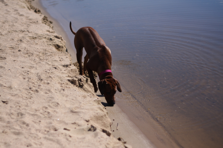 а мы купались