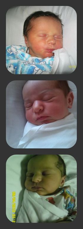 Софья,Виолетта,Злата!!!!!!!!!!!Похожи????