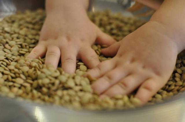 ФМ Монтессори-понедельник