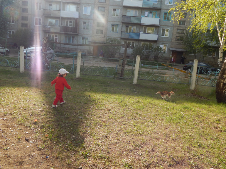 Прогулочный вечер