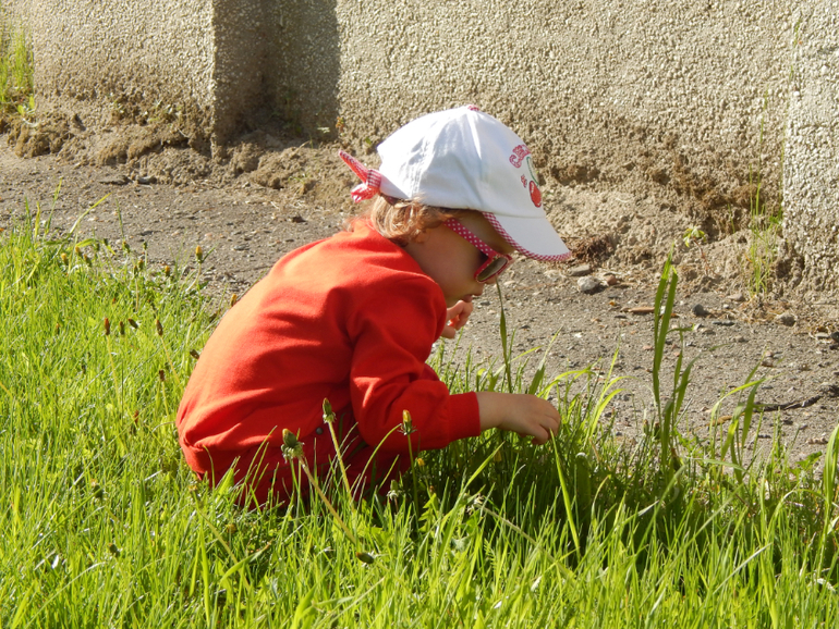 Прогулочный вечер