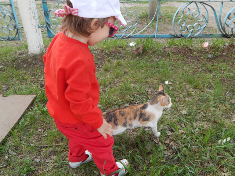 Прогулочный вечер