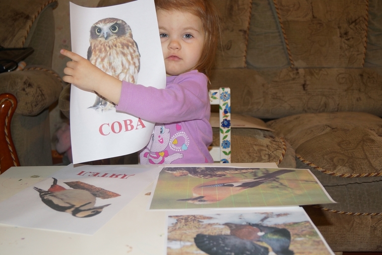 4-й день ФМ "Птицы"