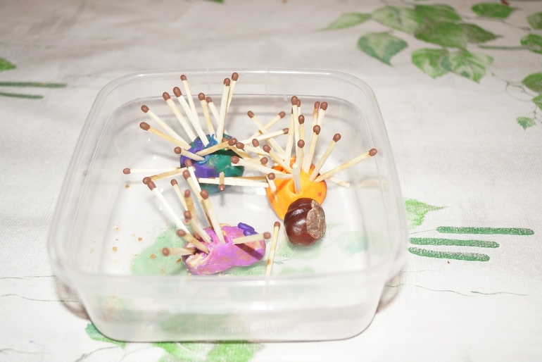 4-й день ФМ "Как зимуют животные"