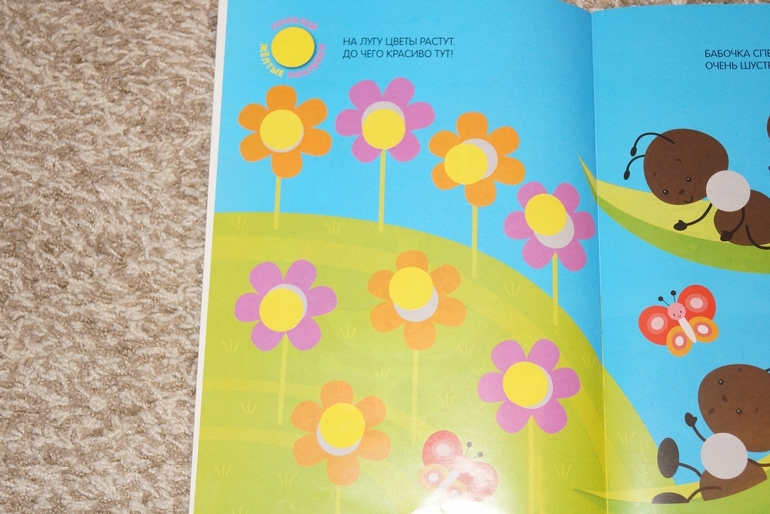 2-й день ФМ Цвета